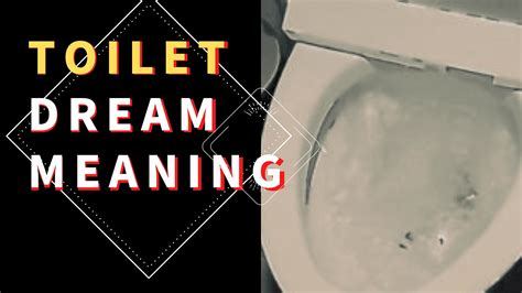 Exploring the Reflection of Personal Experiences: Significance of Context in Toilet Dreams