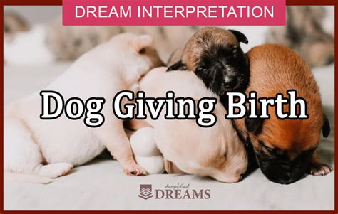 Exploring the Relationship between Dreaming of Canine Birth and Personal Growth & Transformation