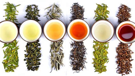 Exploring the Rich Assortment of Tea Varieties in China