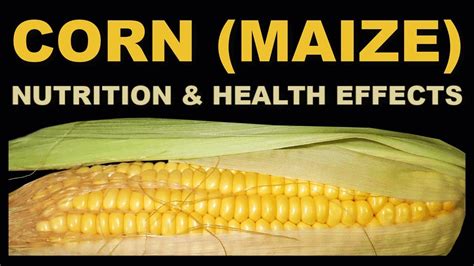 Exploring the Rich Nutritional Value of Maize: A Journey into Health Benefits