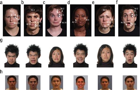 Exploring the Role of Fear and Anxiety in Experiencing a Facial Shooting Scenario