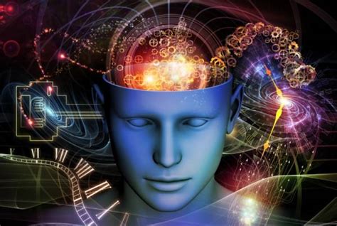 Exploring the Science of Human Imagination: Unlocking the Potential of Your Mind