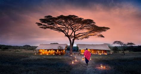 Exploring the Serengeti: An Unforgettable Safari Expedition