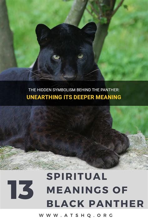 Exploring the Shadow Self: Unearthing Hidden Aspects in Panther Dreams