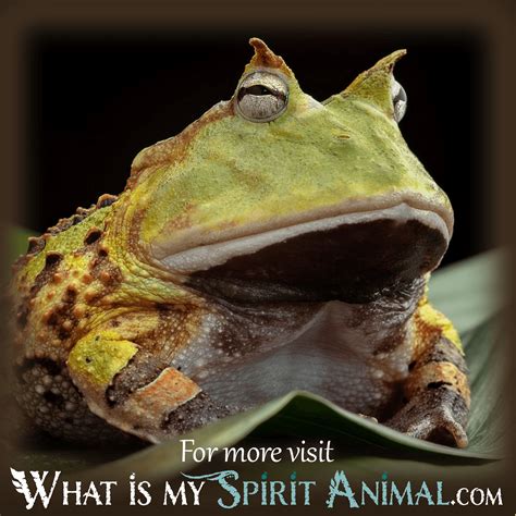 Exploring the Significance and Interpretation of Azure Amphibians in Dreams through Dream Therapy