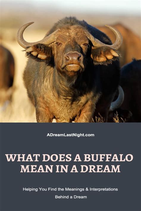 Exploring the Significance of Buffalo in Dream Interpretation