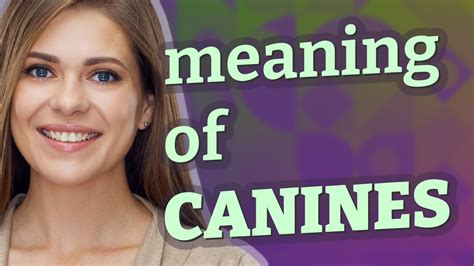 Exploring the Significance of Canines across Diverse Cultural and Spiritual Belief Systems