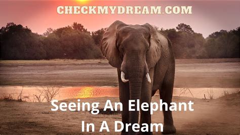 Exploring the Significance of Elephants in Dreams