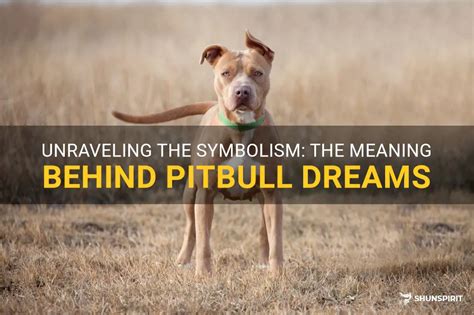 Exploring the Significance of Playfulness and Friendship Symbolism in Pitbull Dreams