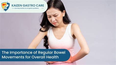 Exploring the Significance of Proper Digestion and Regular Bowel Movements for Overall Well-being