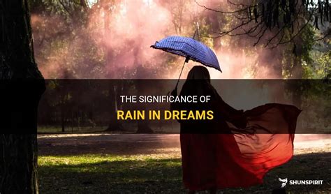 Exploring the Significance of Rain-drenched Dreams: Strategies and Insights