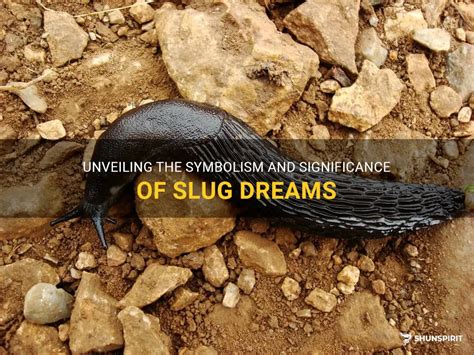 Exploring the Significance of Slugs in the Realm of Dream Interpretation