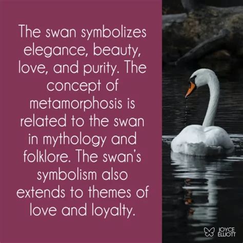 Exploring the Significance of Young Swan Symbolism: Practical Approaches for Incorporating Symbolism into Everyday Life