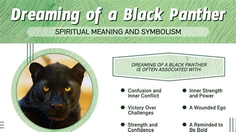 Exploring the Significance of a Black Panther in One's Dreams