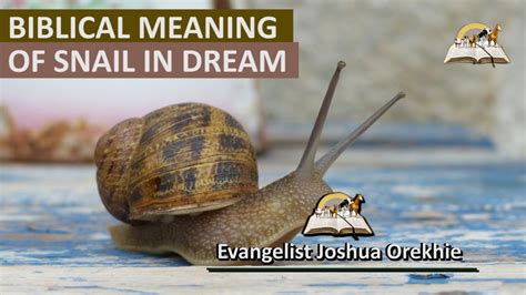 Exploring the Significance of a Deceased Snail in Your Dream