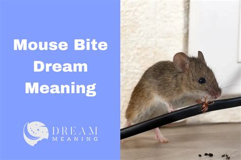 Exploring the Significance of a Mouse Bite in Dreams