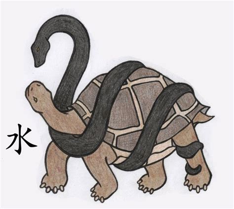 Exploring the Significance of the Black Tortoise in Native American Legends