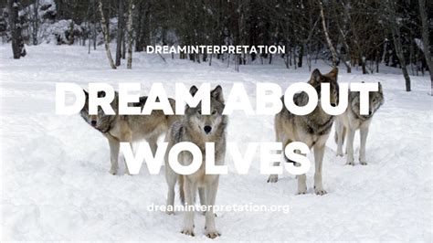 Exploring the Significance of the Wolf as a Symbol in Dreams