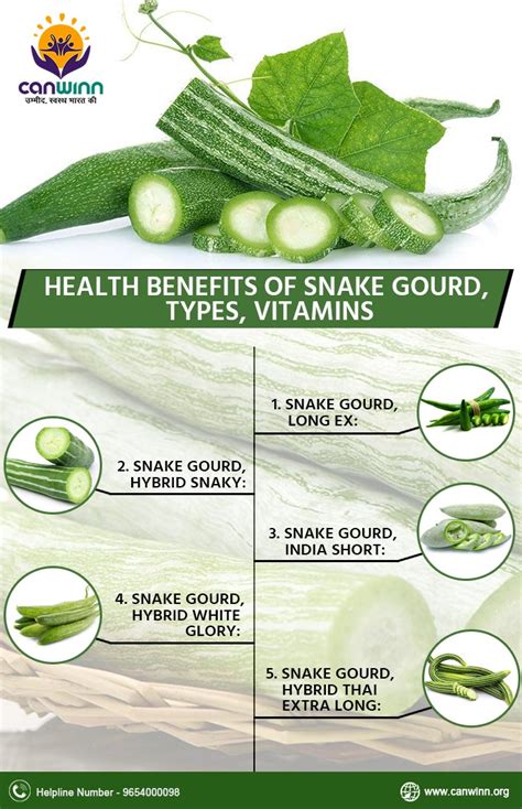 Exploring the Snake Gourd's Symbolism of Healing and Wellness