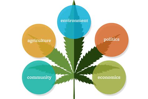 Exploring the Social Impact and Change in Perception Towards Cannabis Consumption