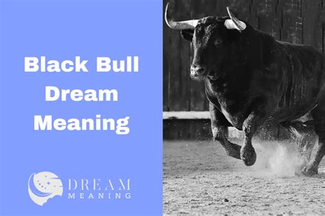 Exploring the Specific Interpretation of a Black Bull in Pursuit