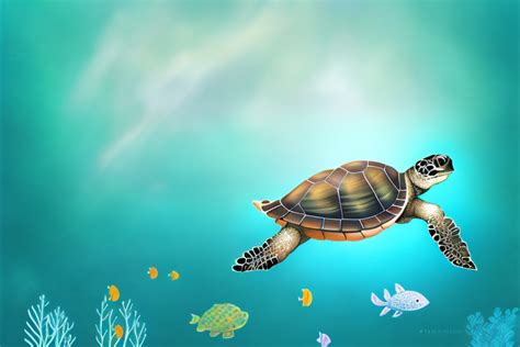 Exploring the Spiritual Significance of Baby Turtles in Dreams