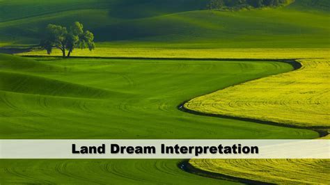 Exploring the Spiritual Significance of a Cultivated Land in the Realm of Dream Interpretation