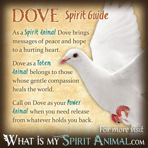 Exploring the Spiritual Significance of a Dove Soaring