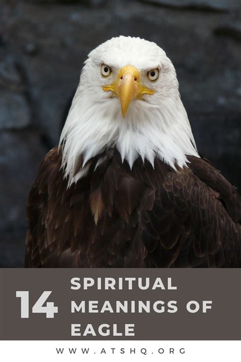 Exploring the Spiritual and Cultural Meanings of Eagles