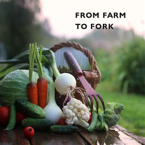 Exploring the Sustainable Movement: Embracing Farm-to-Fork Philosophy