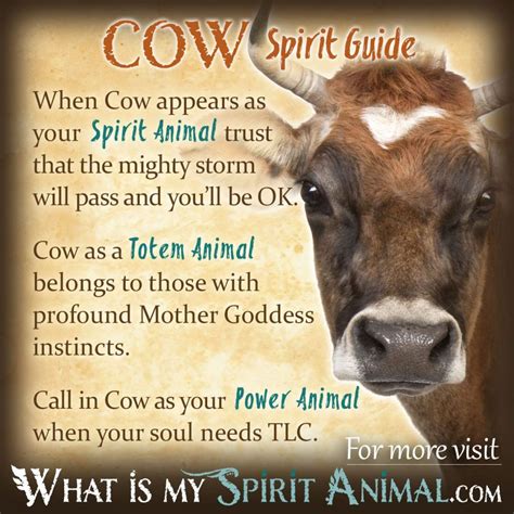 Exploring the Symbolic Meaning of a Young Cow in Native American Traditions