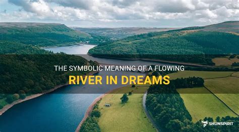 Exploring the Symbolic Significance of Dreams about the Flowing Essence