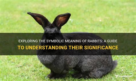 Exploring the Symbolic Significance of Rabbits in Regards to Fertility and Procreation