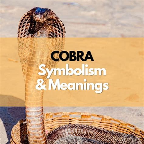 Exploring the Symbolic Significance of a Jet Serpent Cobra