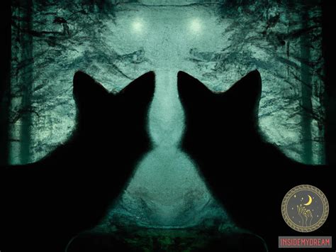 Exploring the Symbolic Significance of a Two-Headed Feline Manifestation: Illuminating Inner Turmoil