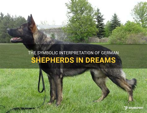 Exploring the Symbolism Behind German Shepherds in Dreams