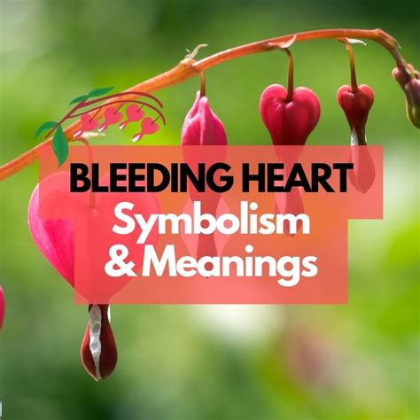 Exploring the Symbolism and Meaning Behind a Vision of a Bleeding Bovine