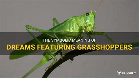 Exploring the Symbolism and Significance of Dreaming about a Plague of Grasshoppers