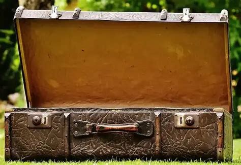 Exploring the Symbolism and Significance of the Mysterious Suitcase