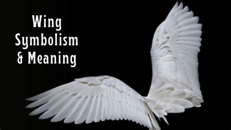 Exploring the Symbolism of Angelic Wings and Their Connection to Longing for Freedom and Transcendence