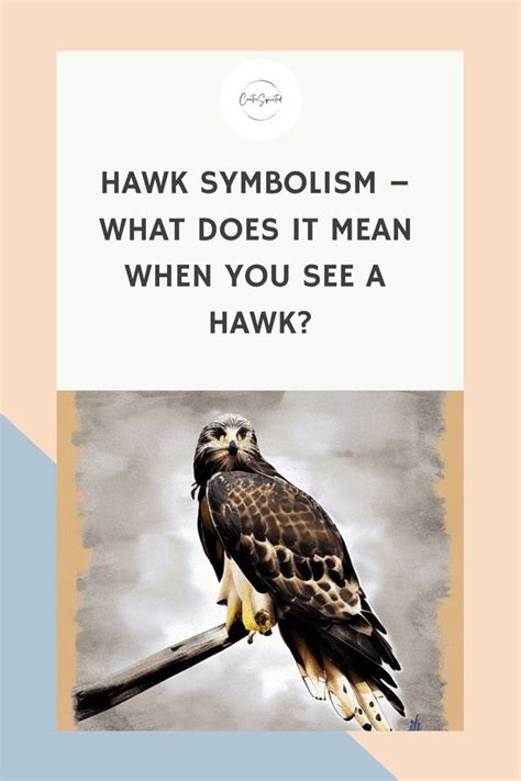 Exploring the Symbolism of Freedom and Independence in the Hawk