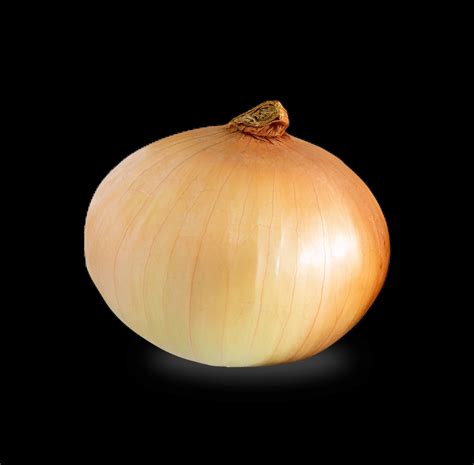 Exploring the Symbolism of Onions in Different Cultures and Traditions