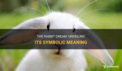 Exploring the Symbolism of Rabbit Dreams in Relational Contexts