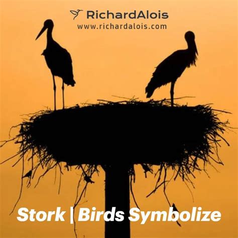 Exploring the Symbolism of Storks in Different Cultures: A Comparative Analysis