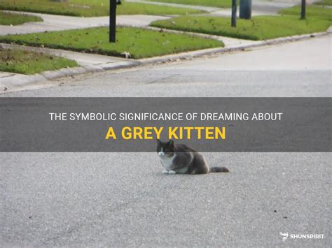 Exploring the Symbolism of Youth: Decoding the Meaning Behind Dreaming of a Grey Kitten