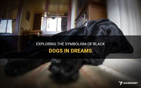 Exploring the Symbolism of a Ebony Canine in Dreams