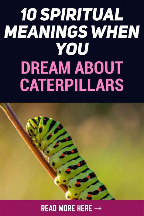 Exploring the Symbolism of a Fluffy Caterpillar in Dreams