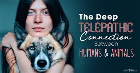 Exploring the Telepathic Connection: Decoding the Silent Conversations between Humans and Cats