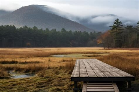 Exploring the Untouched Beauty of the Serene Muddy Pond