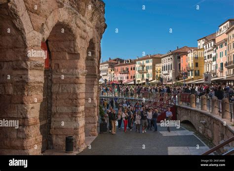 Exploring the Value of Summer Verona